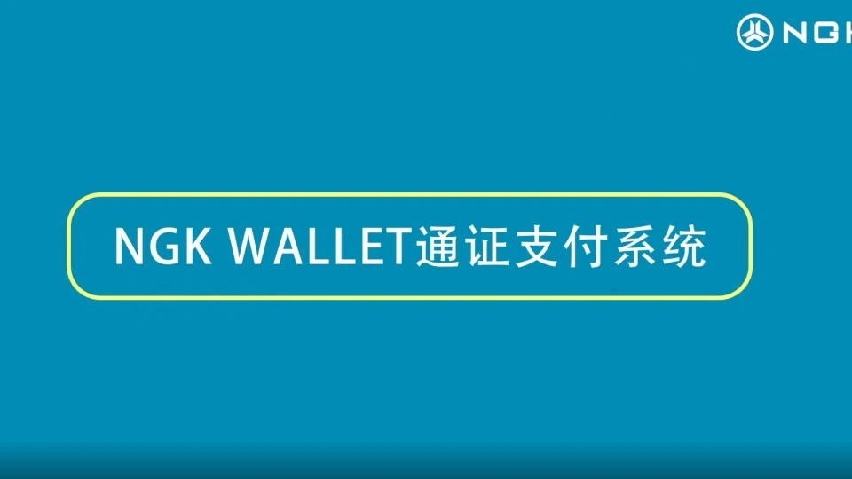 NGK Wallet通证支付系统